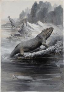 WHYMPER Charles 1853-1941,A Triassic Labrynthodont, and Belemnite,1905,William Doyle US 2021-07-29