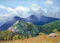 Widgery,Australian Landscape,Boningtons GB 2007-06-20