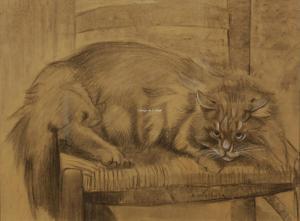 WIETHASE Edgard 1881-1965,Chat sur la chaise,Campo & Campo BE 2023-10-24