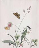 WILKES Benjamin,Insects on Plants,1749,Stahl DE 2017-06-24