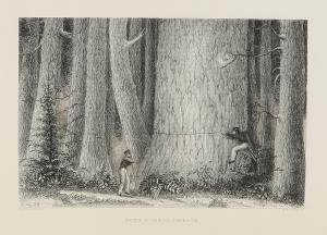 WILKES Charles,NARRATIVE OF THE UNITED STATES EXPLORING EXPEDITIO,1838,Sotheby's 2018-01-17