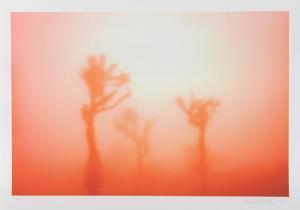 WILKES Kenneth,Bright Sun in Desert,2009,Ro Gallery US 2019-01-31