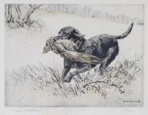 WILKINSON Henry 1921-2011,Black labrador retrieving a hen pheasant,Woolley & Wallis GB 2011-09-28