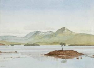 WILKINSON J,LOCH RANNOCH,Ross's Auctioneers and values IE 2013-05-08
