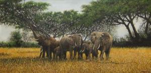 WILLARD S,Elephants,1977,Keys GB 2009-08-07