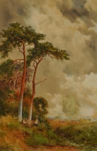 WILLATT Norris Fowler,Scots pines by a country lane,Bellmans Fine Art Auctioneers 2023-10-10