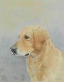 WILLIAMS GEOFFREY 1911-1958,A Portrait of a Golden Retriever,Bonhams GB 2023-11-08