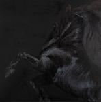 WILLIAMS Huw 1968,Black stallion,Rosebery's GB 2024-02-06