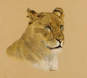WILLIAMS J 1900-1900,Portrait of a Lion Head,Gray's Auctioneers US 2012-06-27