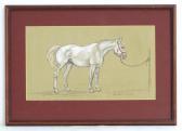 WILLIAMS Jean Parry 1918-2010,A study of a horse,Claydon Auctioneers UK 2020-10-03