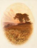 WILLIAMS Walter Heath 1835-1906,Sunset Meadow,David Lay GB 2018-07-26