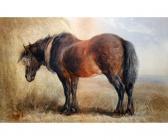 WILLIS Henry Brittan 1810-1884,A Plough Horse,Keys GB 2014-06-04
