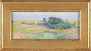WILLIS SID 1930-2021,A view of Fort Hill, Eastham, Massachusetts,Eldred's US 2023-08-16