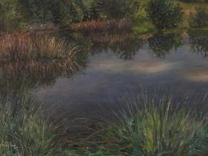 WILM Eberhard 1866-1935,Pond in Giant Mountains,Auctionata DE 2013-08-30