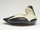 WILSON Augustus Aaron 1864-1950,Eider drake,19th century,Guyette & Schmidt US 2021-08-06