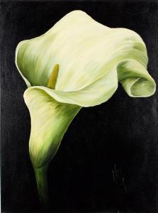 WILSON Karen 1900-2000,Lily,Gormleys Art Auctions GB 2020-03-10