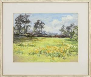 WILSON Mary Georgina Wade 1856-1939,FIELD OF DAFFODILS,McTear's GB 2023-10-11