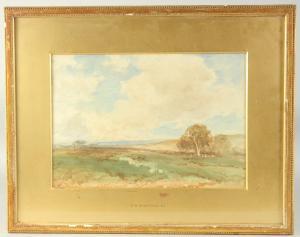 WIMPERIS Edmund Morison 1835-1900,a view near Wensleydale,John Nicholson GB 2023-12-20