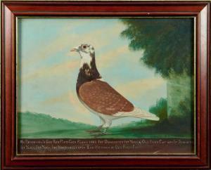 WINDRED EDWARD HENRY 1875-1953,a Racing Pigeon,Reeman Dansie GB 2021-01-26