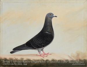 WINDRED EDWARD HENRY 1875-1953,portraits of racing pigeons,1933,Rosebery's GB 2019-09-24