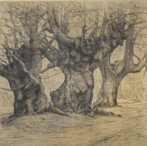 WINSLOW Henry 1874-1955,oak trees,Burstow and Hewett GB 2021-07-09