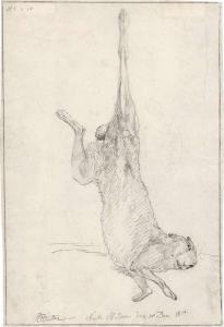 WINTER Raphael 1784-1852,Studienblatt mit Feldhase,Galerie Bassenge DE 2019-11-29