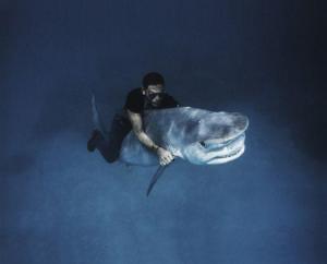 winther pierre 1963,Shark Riding (Levi's Advertising),1992,Phillips, De Pury & Luxembourg 2009-05-16