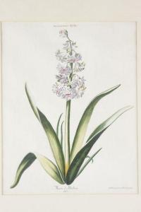 WIRSING Adam Louis, Ludwig 1733-1797,Hyacinthus,1774,Leland Little US 2009-09-19