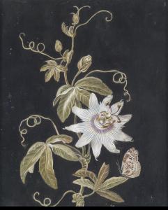 WIRSING Adam Louis, Ludwig 1733-1797,Passion flower and a butterfly,Palais Dorotheum AT 2012-11-08