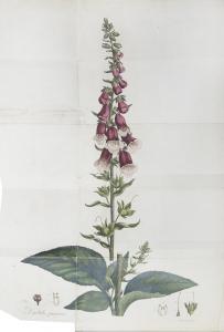 WITHERING WILLIAM 1740-1799,An Account of the Foxglove,Bonhams GB 2014-10-22