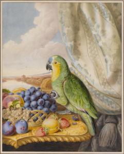 WITHERS Augusta Innes 1793-1870,A parrot eating from a bowl of grapes,Sotheby's GB 2021-03-23