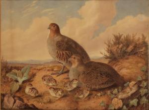 WITHERS Augusta Innes 1793-1870,Partridges and chicks in a landscape,1862,Duke & Son GB 2022-09-29