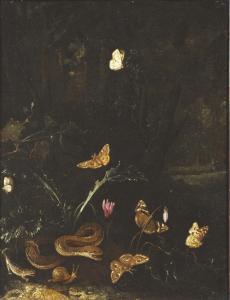 WITHOOS Mathias Calzetti 1627-1703,Serpent, lézard et papillons,Pierre Bergé & Associés 2022-06-24