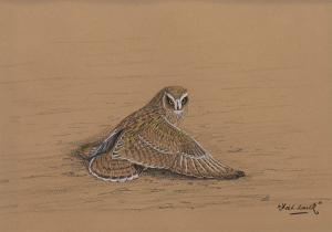 WOLFE MURRAY David Knightley 1897-1970,LONG-EARED OWL,McTear's GB 2019-05-12