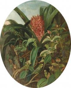 WOLTERBEEK Anna 1834-1905,Two parakeets in a jungle, Brasil,1882,Christie's GB 2006-01-24