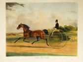 wombill william 1808-1891,Confidence,Coutau-Begarie FR 2008-07-02