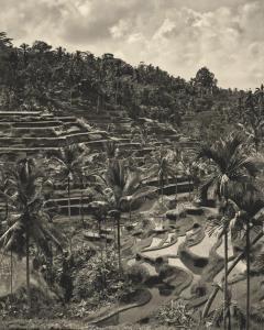 WONG Russel 1961,Bali Rice Plantations,2007,Christie's GB 2011-11-27