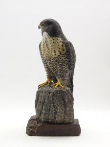 WOOD MIKE 1943,A Peregrine Falcon,Duggleby Stephenson (of York) UK 2019-09-20