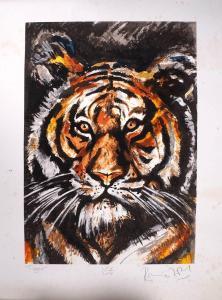 WOOD Ron 1947,TIGER,1995,Whyte's IE 2024-03-25