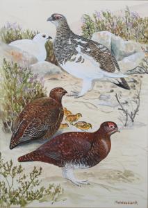 WOODCOCK Martin W,Grouse in a Landscape, and Eagles in a Landscape,Tooveys Auction 2023-07-12