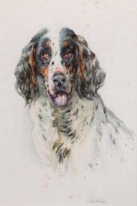 WOODHOUSE William Arnold 1857-1939,Study of a Spaniel,Tennant's GB 2024-01-05