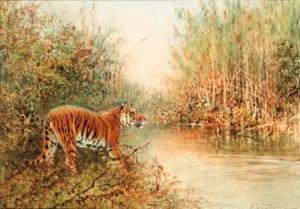 WOODHOUSE William 1805-1878,Tiger at the Water's Edge; and Tiger in long Grass,Christie's 1999-11-18