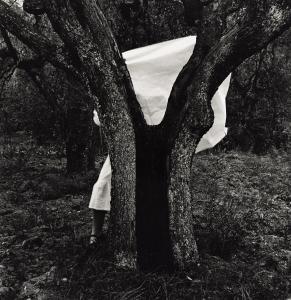WOODMAN Francesca,Self-portrait behind tree, Antella, Italy,1977,Swann Galleries 2024-02-15
