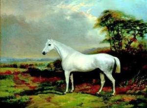 WOODWARD Thomas 1801-1852,White stallion,David Lay GB 2013-08-09