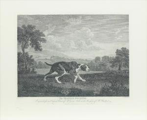 WOOLLETT William 1735-1785,The Spanish Pointer,Bonhams GB 2023-11-08