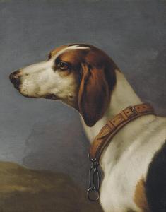 WOOTTON John 1686-1764,Head of a hound,Christie's GB 2008-06-18