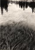 WORTH Don 1924,Grass and Water,1962,Bonhams GB 2015-01-25