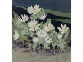 WRINCH Mary Evelyn 1877-1969,NORTHERN BLOOD ROOT,Hodgins CA 2007-11-26