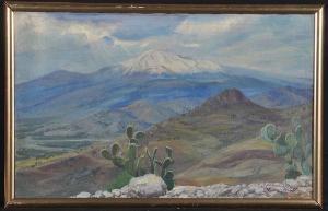 WYGRZYWALSKI Kazimierz Samassa 1903-1966,Mount Etna,Anderson & Garland GB 2017-01-30