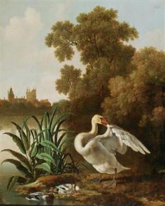WYNTRACK Dirck 1625-1678,A swan and ducks at a river,1615,Palais Dorotheum AT 2018-04-24